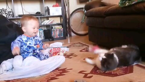 Baby And Cat Fun And Cute #5
