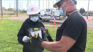 We Energies gives MPS students hands-on experience in energy industry