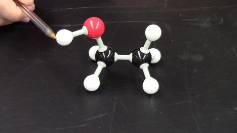 CHM1032L Instructional Video Experiment 10 - Organic Chemistry