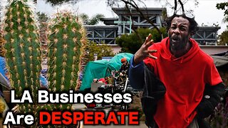Businesses Use Cactus Plants To Fight Homeless