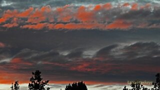 Sunset Cam | Image Set 031 | Shark Fin