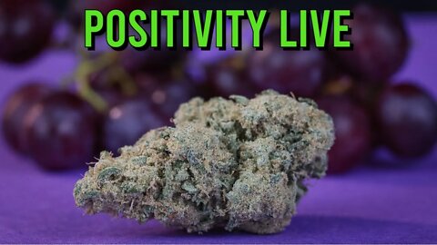 Positivity LIVE - 4/20 GIVEAWAY RECAP, Our FIRST Ever 420 Convention, and a LOW TEMP surprise?