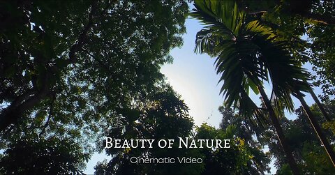 Beauty_Of_Nature_Cinematic_Video___Amazing_Nature_Video_4k___Nature_Scenery