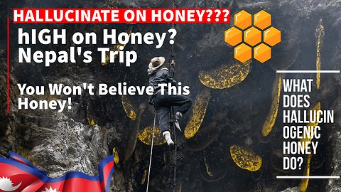 Mad Honey Nepal: High on Hallucinogenic Honey