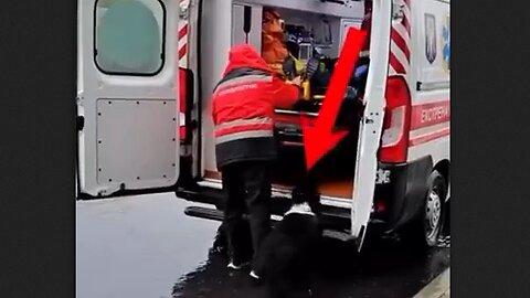 Man's Dog Insists On Accompanying Him To Hospital