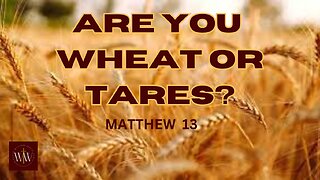 Identifying the Wheat Amongst the Tares!! Explaining the parable of the the Wheat and Tares. Part 1