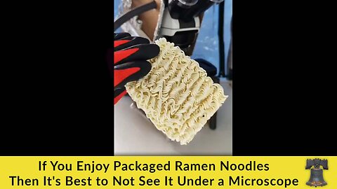 If You Enjoy Packaged Ramen Noodles Then It's Best to Not See It Under a Microscope