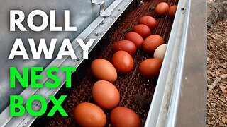 No More Dirty Broken Eggs! How to Install a Hengear Roll Away Nest Box