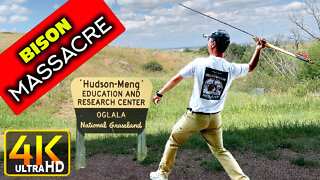 Hudson-Meng Bison Kill Site Mass Slaughter Smokey the Bear(4k UHD)