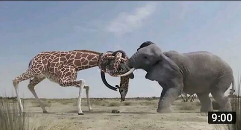 Best Funny Video🤣 Animals Funniest Clip😂😂