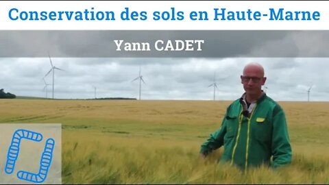 Colzas associés, couverts et semis direct en Haute-Marne, par Yann Cadet