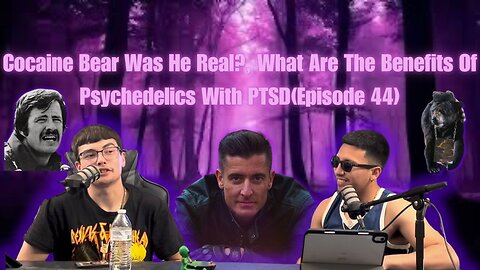 Cocaine Bear Was He Real?, What Are The Benefits Of Psychedelics With PTSD(Episode 44)#