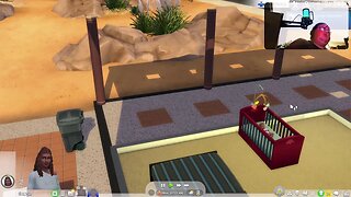 Mrmplayslive Free For All Stream 62 The Sims 4