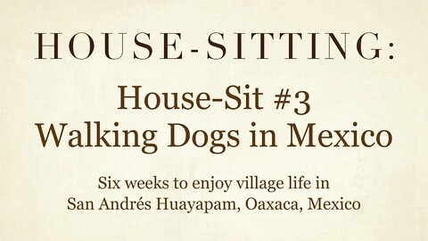House-Sitting » House-Sit #3 » Walking Dogs in Mexico » San Andrés Huayapam, Oaxaca, Mexico