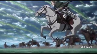 Erwin's Final Charge