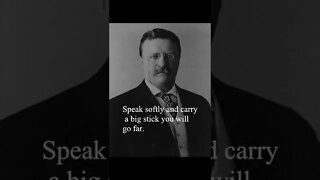 Theodore Roosevelt Quote - Speak Softly...