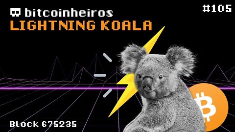 A história de um pioneiro da Lightning - Convidado Lightning Koala
