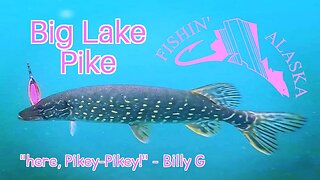 ANGRY PIKE FISHING @ BIG LAKE, ALASKA. #20