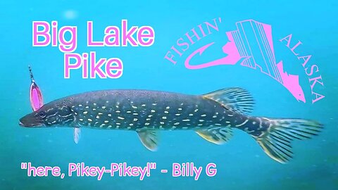 ANGRY PIKE FISHING @ BIG LAKE, ALASKA. #20