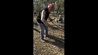 Old Mate Finds A Coin Metal Detecting