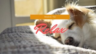 Tranquilizar a Mente e Descansar Música Relaxante | Reassure the Mind and Rest, Relaxing Music