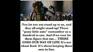 It's A Bug's Life Being An Ant