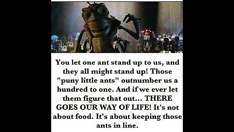 It's A Bug's Life Being An Ant