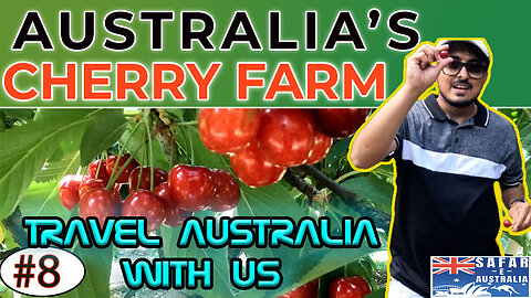 #Australia ka #Cherryfarm | Dubbo Series Part 4 | Travel Australia with us | Safar E Australia