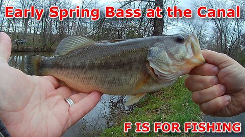Early Spring Bass at the Canal