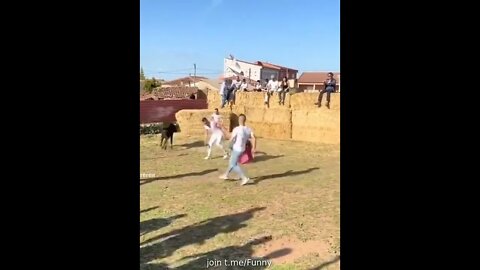 Crazy Bull Fight