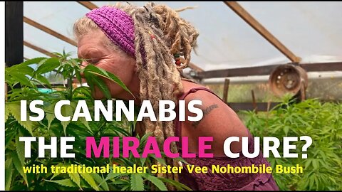 Cannabis is The Human Companion Plant | with Sister Vee | part 1