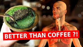 Why You Should Ditch Coffee For The Benefits of Yerba Mate