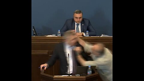 Chaos erupts in the Georgian Parliament