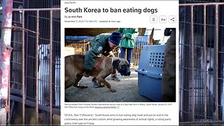 South Korea to ban eating dogs