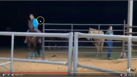 Please Help This Horse & Stop It's Abuse - Read Below For Details - Stacie Soape Shocks Horse