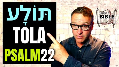 The Great Mystery Revealed: The Crimson Worm Of Psalm 22. Tola'at Shani Is The Hebrew Word For It.