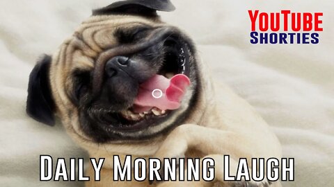 Funny Morning Laugh - 30 Seconds to Start Your Day Right