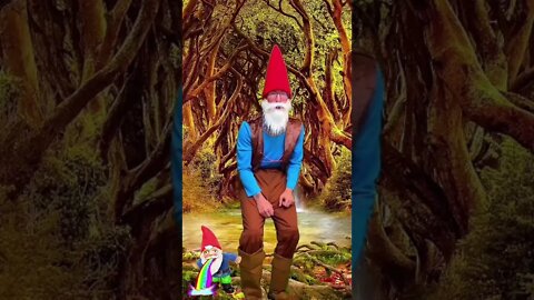 Gnome Vlog Day 4