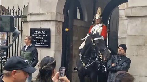 Tourist is like that didn't hurt the horse like now shuv off #horseguardsparade