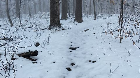 Hiking in snow ￼