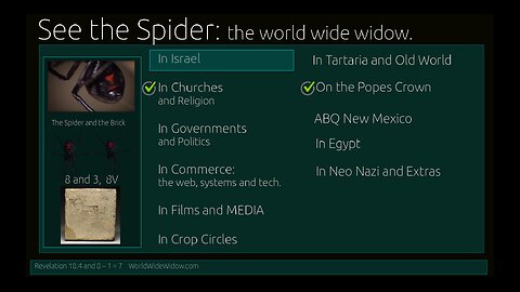 See the Spider in Israel