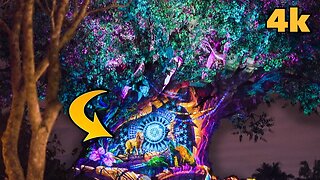 [4k] Disney's Animal Kingdom Tree of Life Awakenings Lion King Story