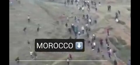 Migration Invasion Clip - Morocco Dec. 2023