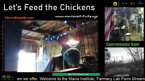 Let's Feed the Chickens : Ep 30 : Money, and how to pay for things