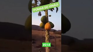 POMAR DO VINÃO #01#