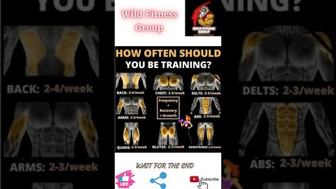 🔥How often should you be training🔥#shorts🔥#wildfitnessgroup🔥27 April 2022🔥