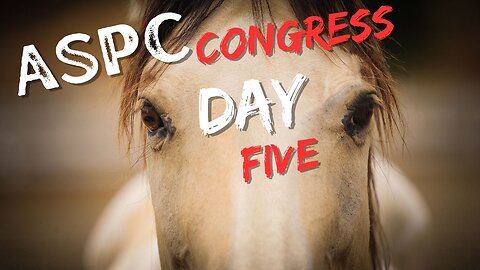 ASPC Congress Horse Show (July 28th)