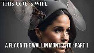 The Fly on the Wall In Montecito : Part 1 (Meghan Markle)