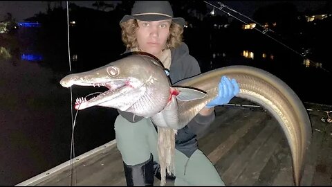 Fishing for RIVER MONSTERS Catch and Cook! (PIKE EEL)