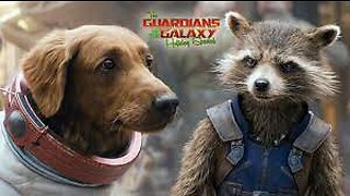 Rocket Raccoon Serious Dog Star